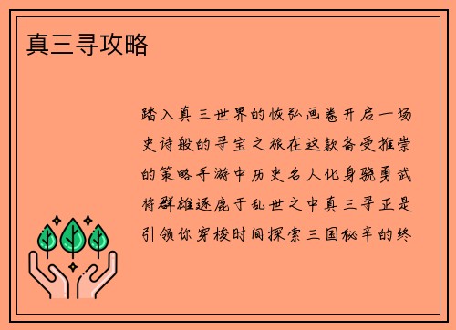 真三寻攻略