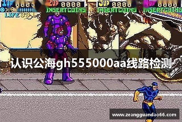 认识公海gh555000aa线路检测